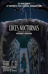 Luces Nocturna Poster